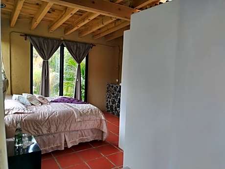King Bed Suite