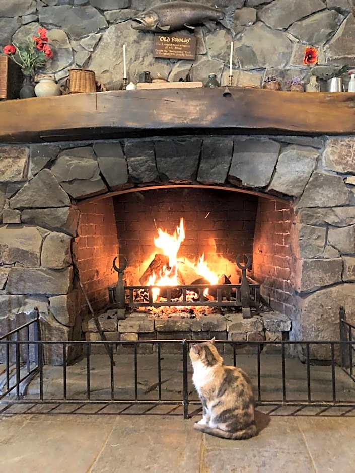 Cosy Country Stay B&B