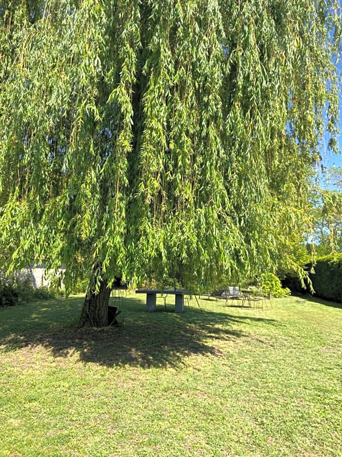 Cocon en lisière de forêt