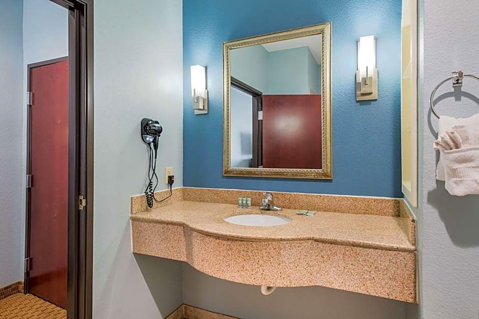 Best Western South Plains Inn & Suites