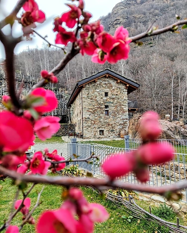 B&B Al Vecchio Torchio