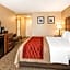 Comfort Inn Pomona Near Fairplex