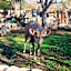 Foxy Crocodile Bush Lodge & Kruger Safaris