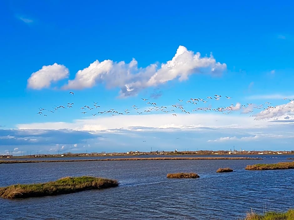 La casa di Celeste B&B