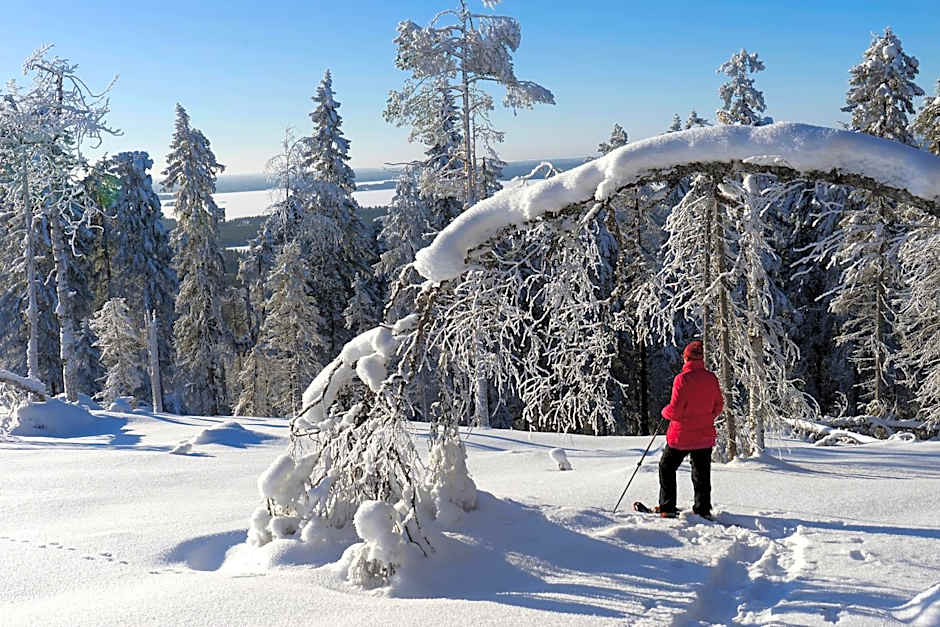 Jättiläisenmaa