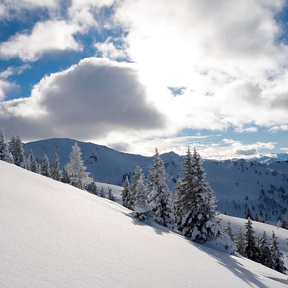 Hotel Gratz Großarl