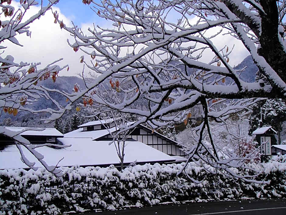 Hidaji (Adult Only)