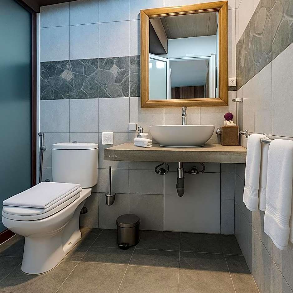 Villa Alizée Boutique Hotel - Idéal Couples & Pros - Rooftop - Parking privé