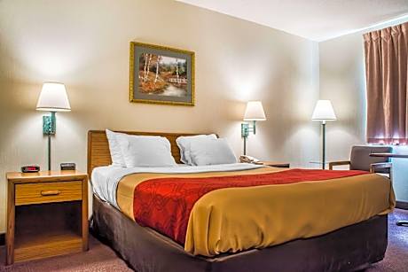 1 King Bed Nonsmoking Accessible