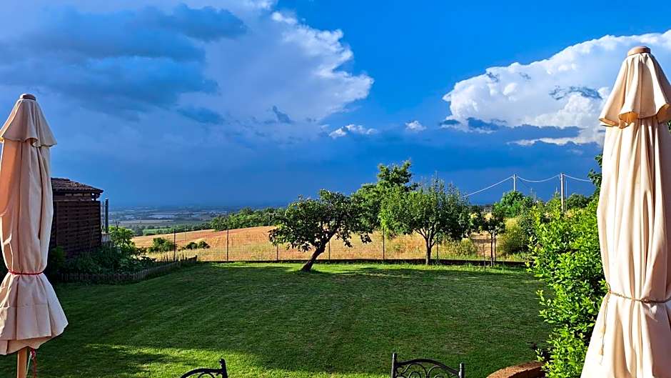 la Mafalda in Oltrepo