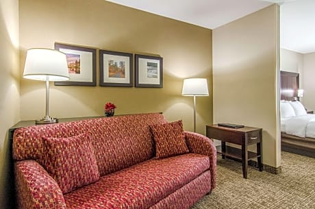 1 King Bed, Suite, Nonsmoking, Accessible