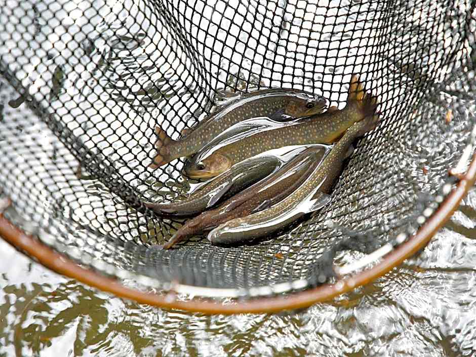 Oyado Fubuki - Vacation STAY 45506v