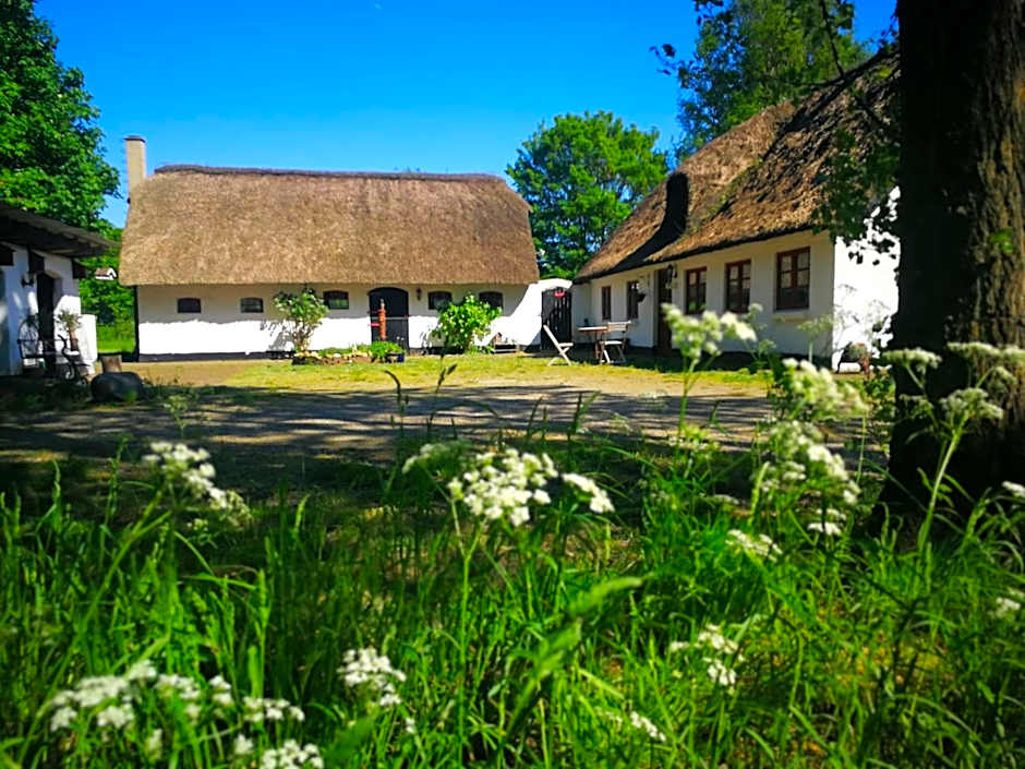 Gemütliches Reetdachhaus mit Kaminofen