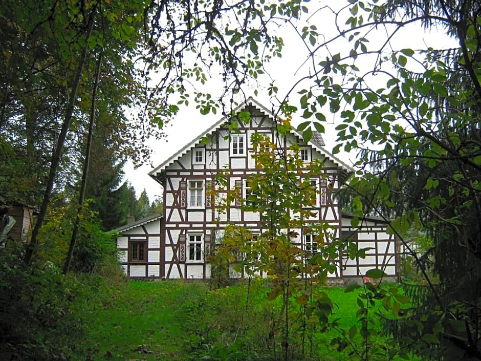 FeWo Landhaus Ederlust HeilungsRäume eV