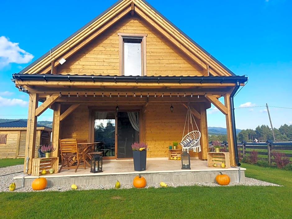 Domki nad jeziorem czorsztyńskim