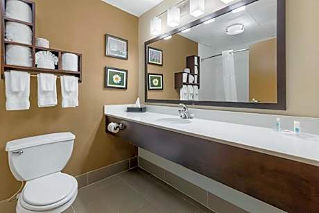 Standard King Suite - Non-Smoking