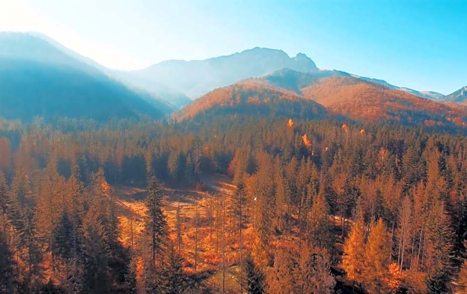 Zespół Dolina Białego - Willa Pan Tadeusz