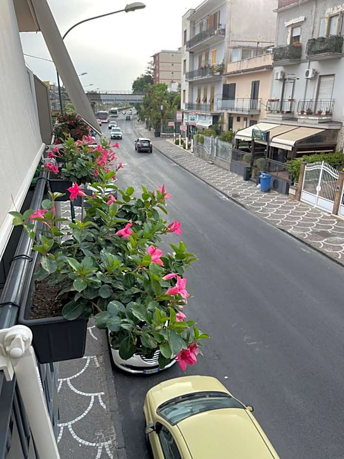 Pompeii Central Home