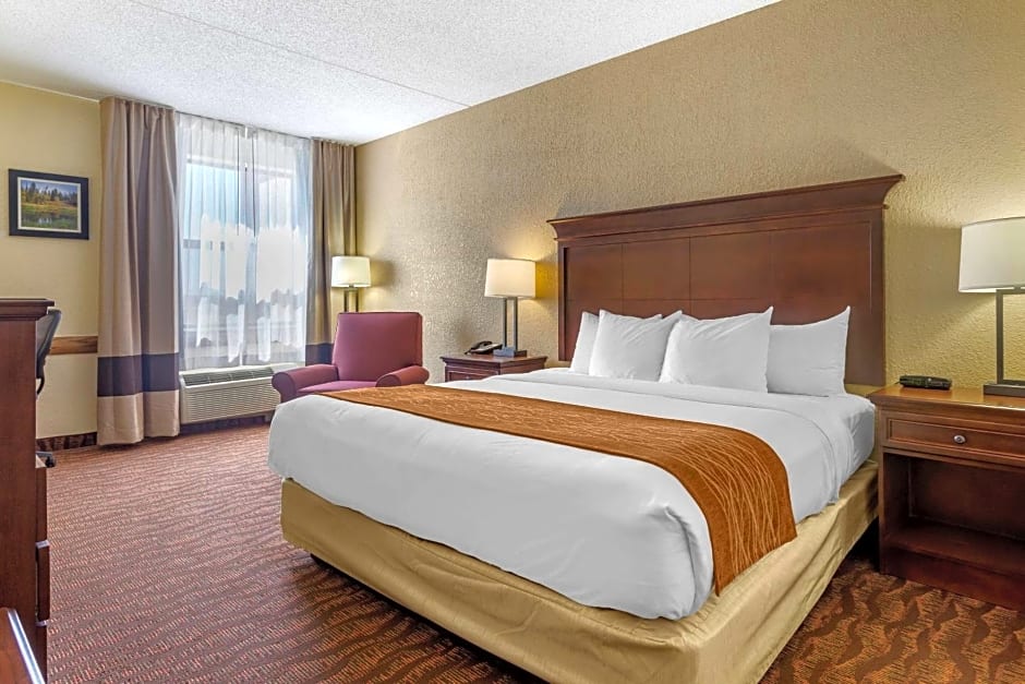 Comfort Inn & Suites Branson Meadows