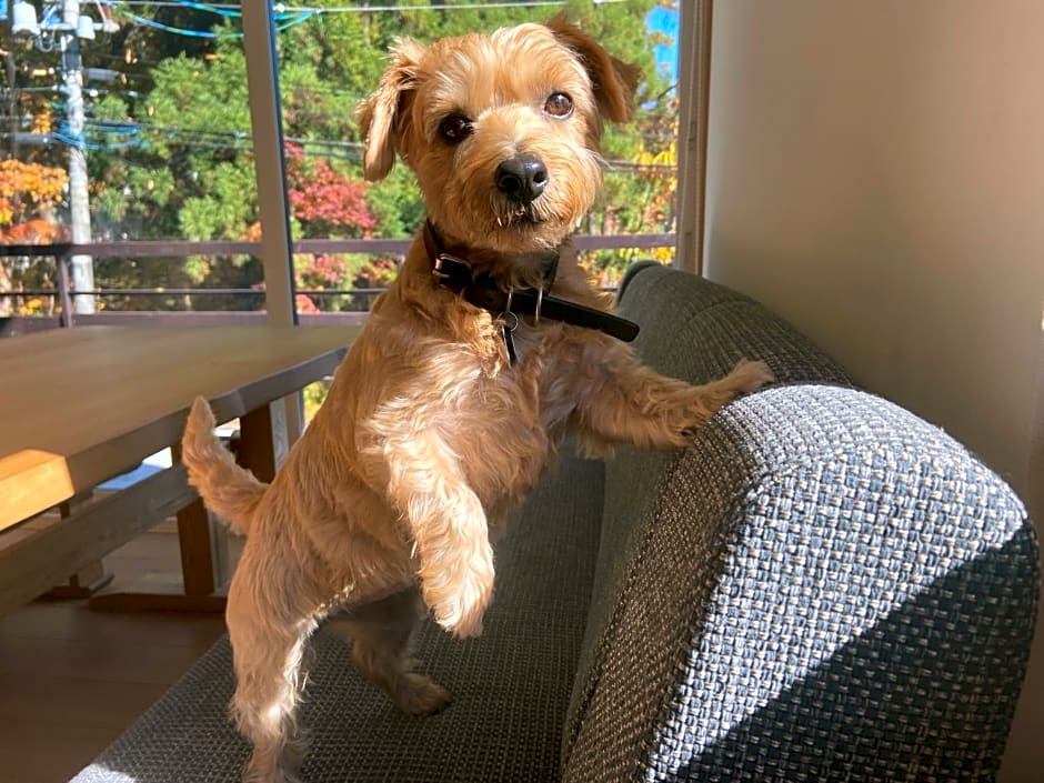 Hakuba Powder Mountain