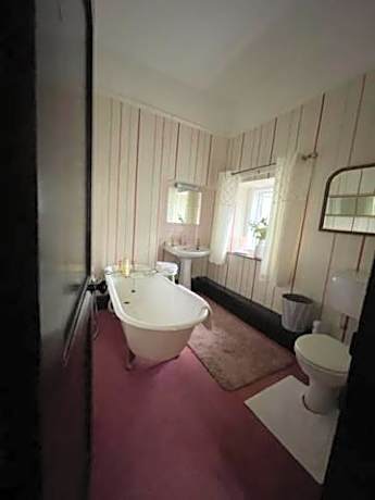 Deluxe Room (2 Adults + 1 Child)