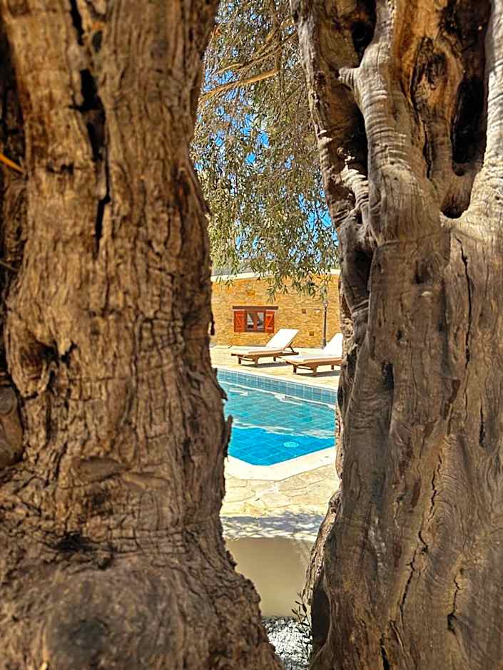 Stone Court Boutique Studios