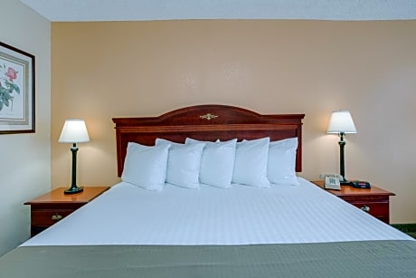 1 King Bed Smoking