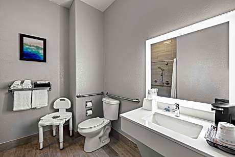 Accessible - 1 King Mobility Accessible Communication Assistance Roll In Shower Microwave And Refri