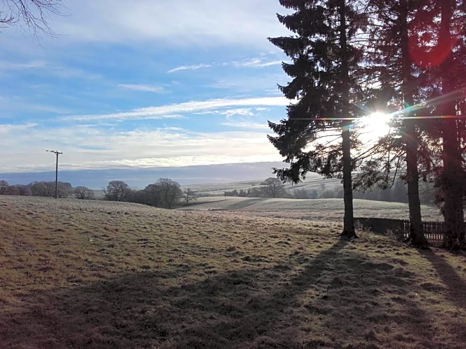 The Barn, Bellingham