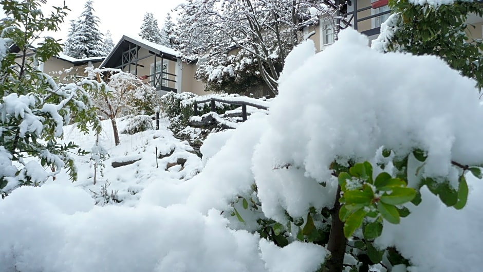 Aldea Andina Hotel&Spa