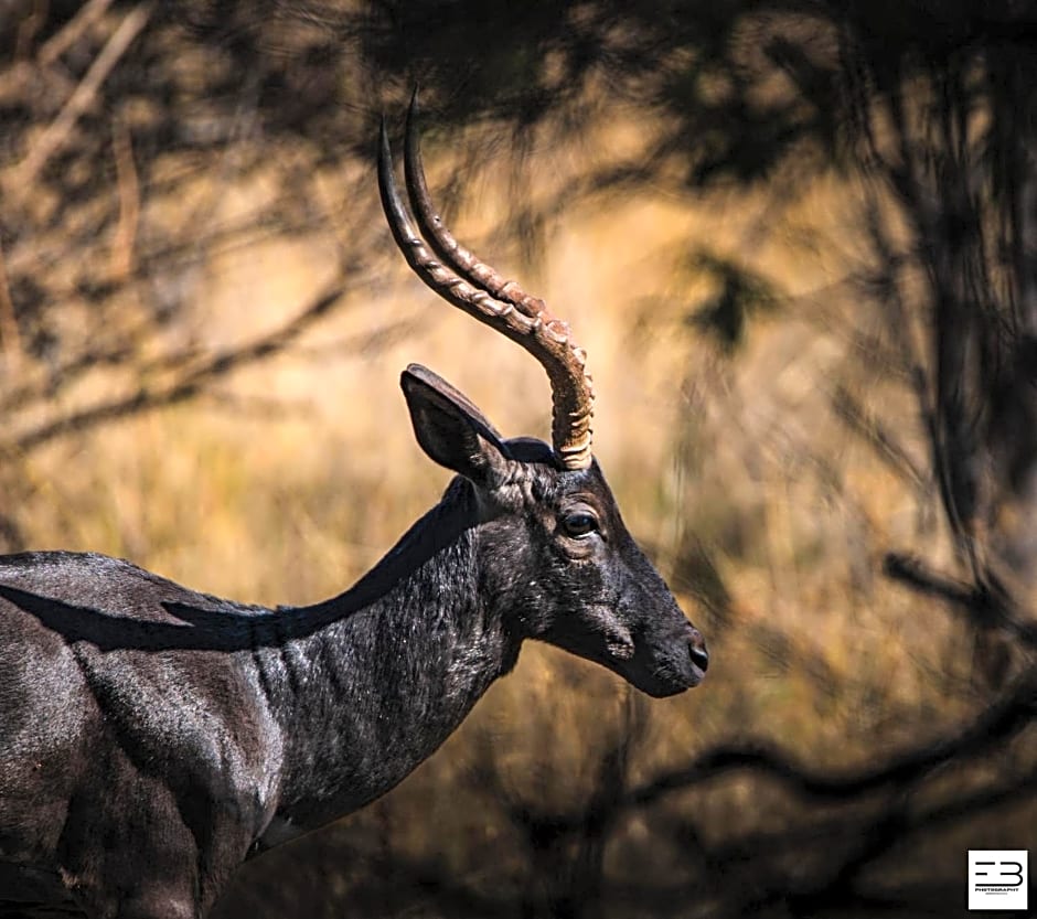 Geluksfontein Private Game Farm