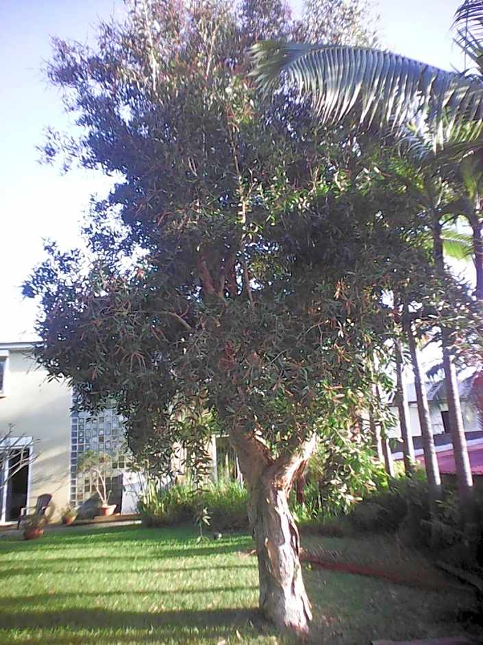 Villa Niagara avec Spa