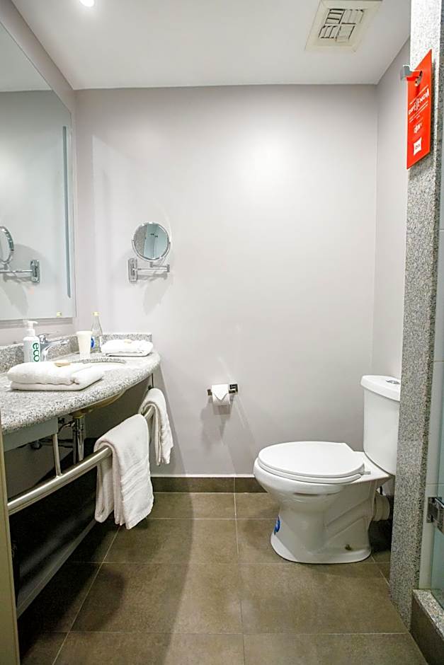 Ibis Quito