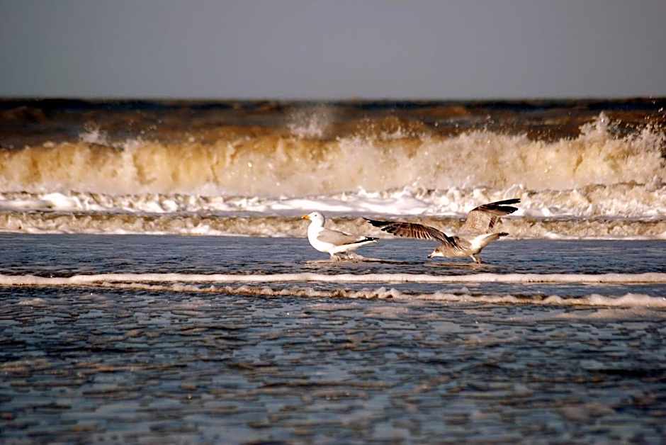 Hotel / Pension Villa Tanahlot