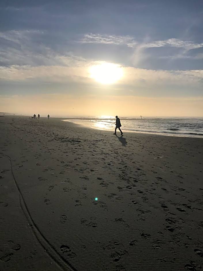 Rosa's zonnige huisje bij duinen bos en strand