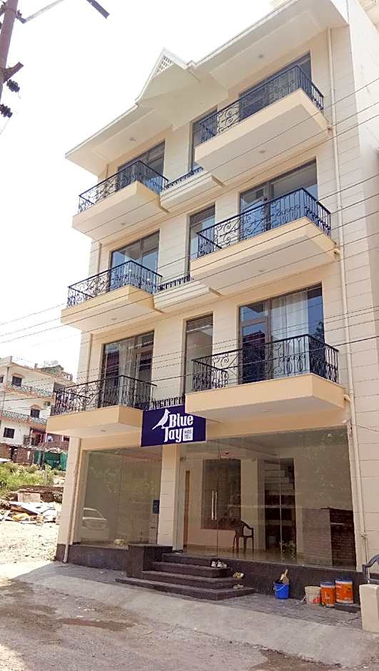 The Blue Jay Hostel - Dorms & Rooms Hotel