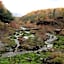 Kusatsu Onsen Nisshinkan