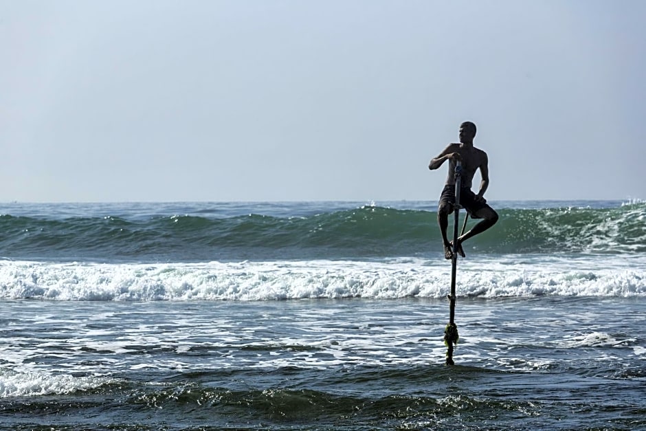 Owl And The Pussycat