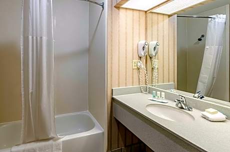 1 King Bed, Nonsmoking, Accessible