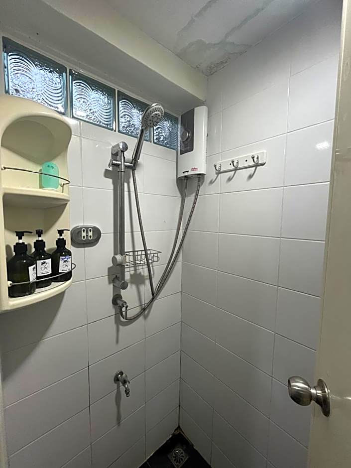 Lazy Gibbon 1 Chiang Mai - Tha Phae Gate