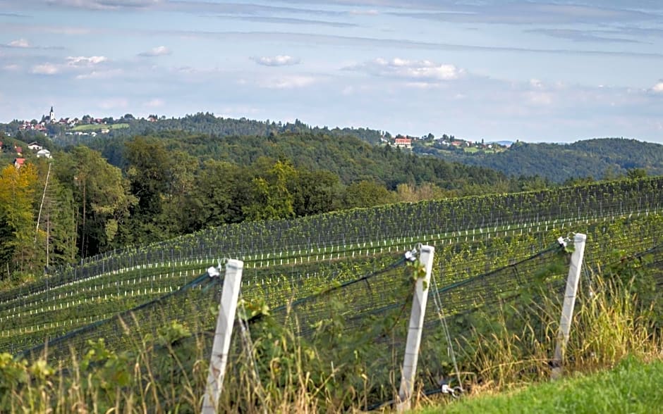 Kitzecker-Weingartenhaus