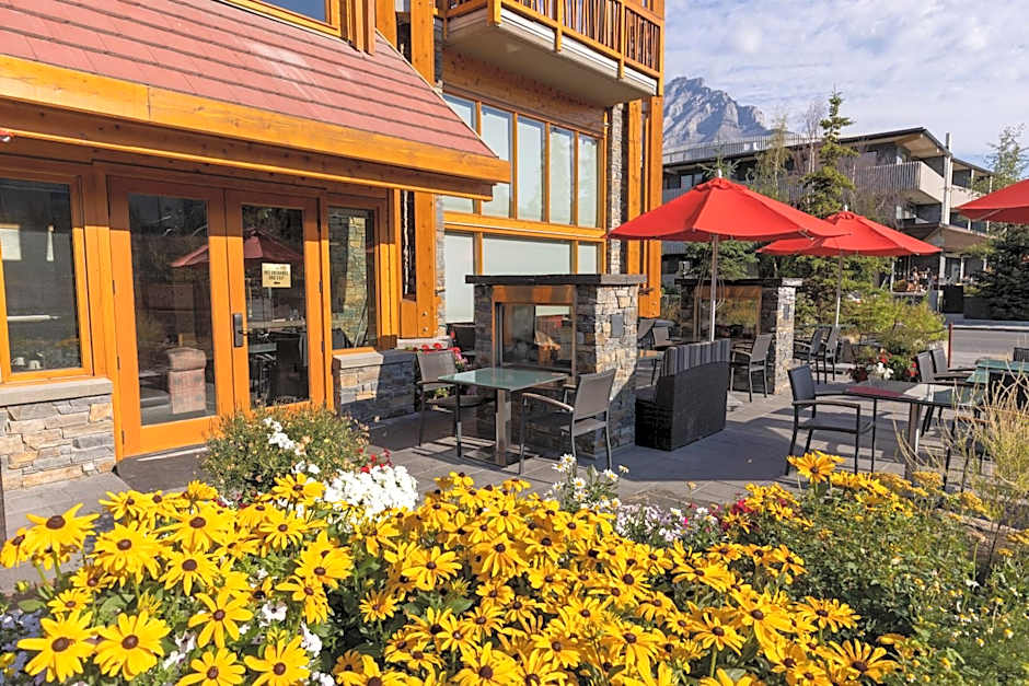 Moose Hotel and Suites