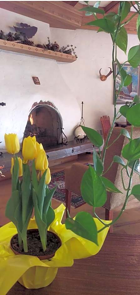 Hotel Gasthof Gramshammer