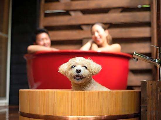 Hotel Forest-Hills Nasu