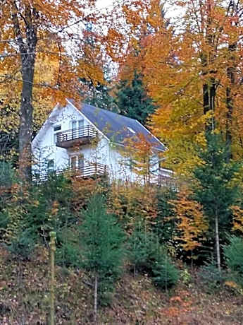 Șoaptele pădurii & Căsuța din pădure