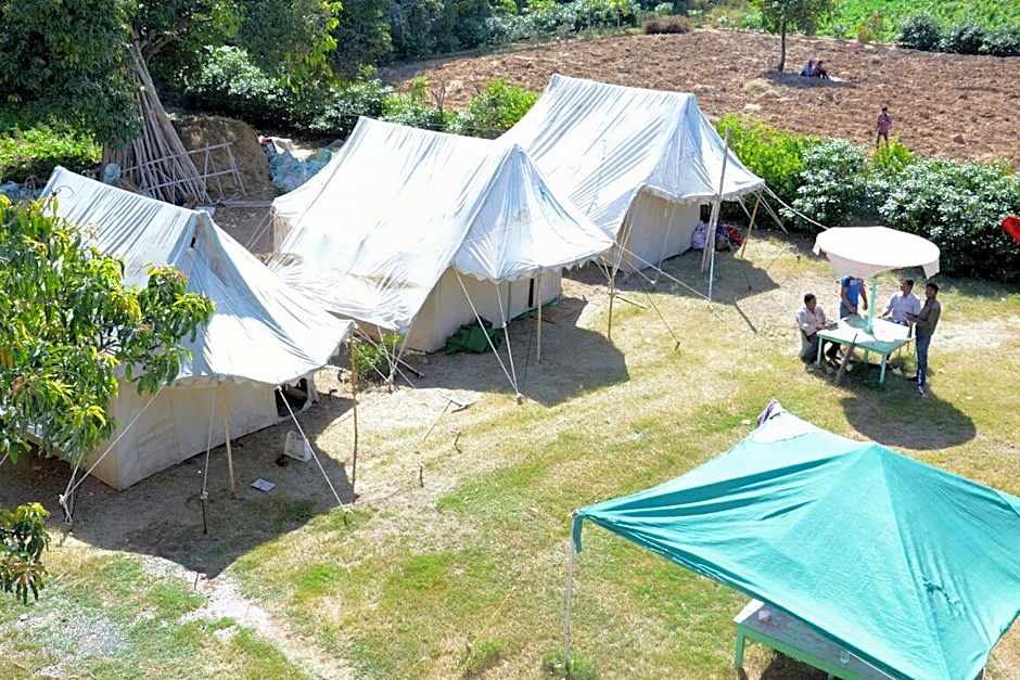 Backpacker Panda Chand Palace