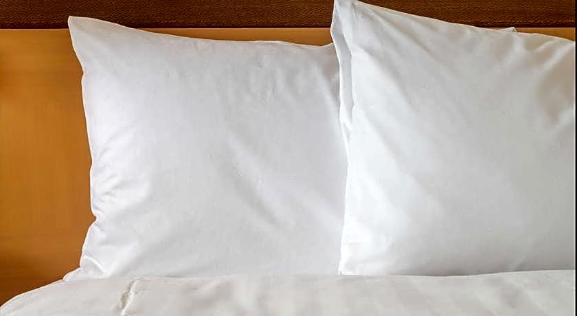 Holiday Inn & Suites Nanjing Qinhuai South By IHG