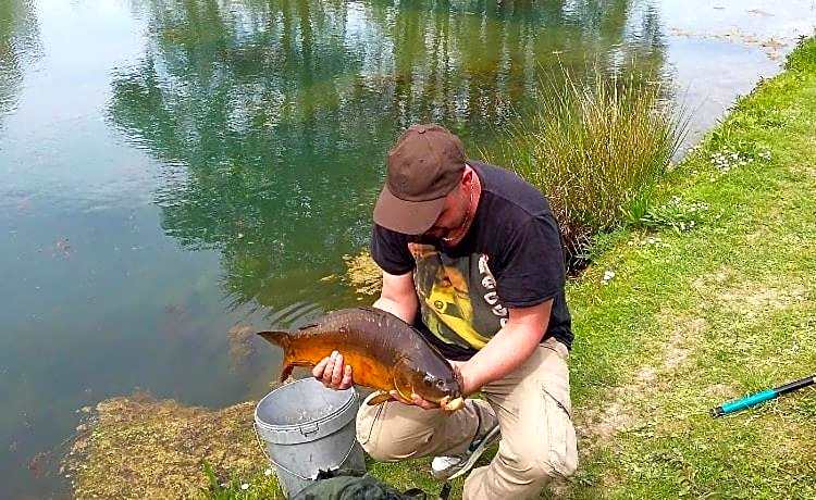 Les Insolites du Brochet