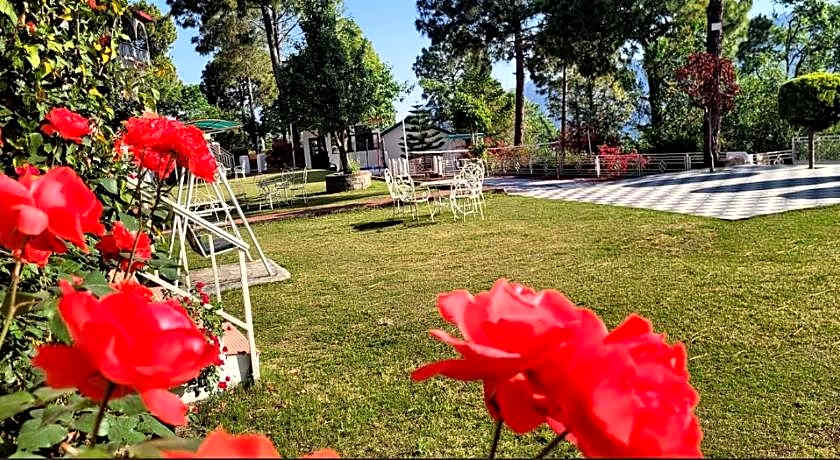 Kasauli Nature Inn