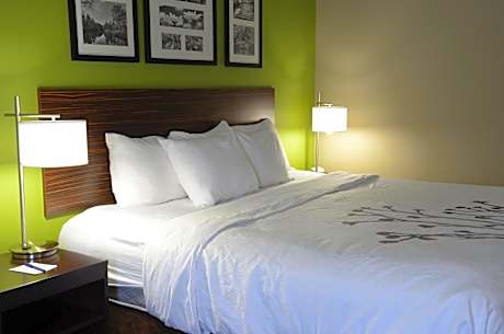 King Suite - Accessible/Non-Smoking